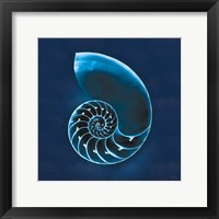 Cyanotype Sea II Framed Print