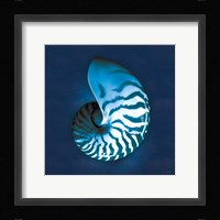Cyanotype Sea I Framed Print