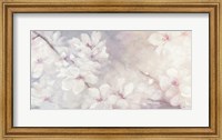 Cherry Blossoms Fine Art Print