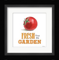 Fresh From the Garden V No Border Sq Framed Print