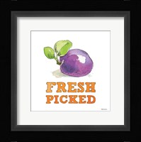 Fresh From the Garden VI No Border Sq Framed Print