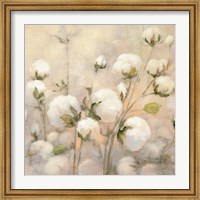 Cotton Field Crop Fine Art Print