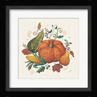 Spice Season VIII Framed Print