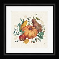 Spice Season VII Framed Print