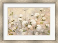 Cotton Field Fine Art Print