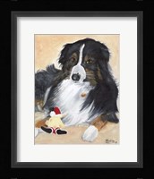Collie Sal and toy Fine Art Print