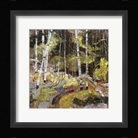 Springtide Fine Art Print