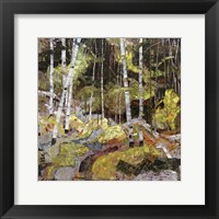 Springtide Fine Art Print