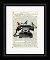 Birdcall Fine Art Print