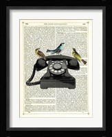 Birdcall Fine Art Print