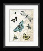 Flying High Fine Art Print