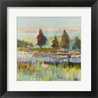 Colorful Fields Fine Art Print