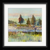 Colorful Fields Fine Art Print