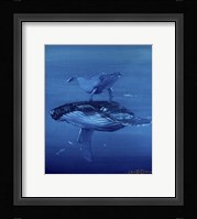 Whales Framed Print
