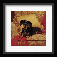 Comfy Fine Art Print