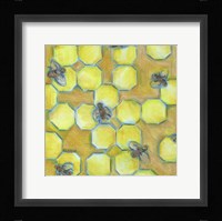 Honeycomb Framed Print
