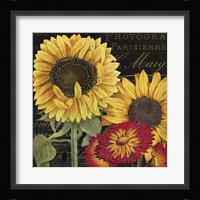 October Sun I Fine Art Print