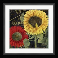 October Sun II Fine Art Print