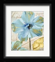 Himalayan Poppy Framed Print