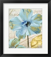 Himalayan Poppy Framed Print