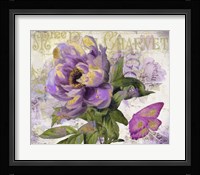 Purple Peony Fine Art Print