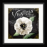 Fleur du Jour II Framed Print