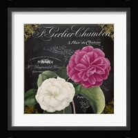 Fleur du Jour IV Framed Print