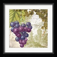 Vigneto Fine Art Print