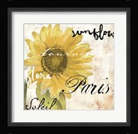 Paris Songs I Framed Print