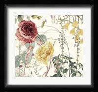 Mirabelle I Fine Art Print