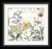 Mirabelle II Framed Print