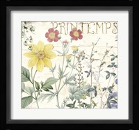 Mirabelle III Framed Print