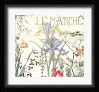 Mirabelle IV Framed Print