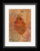 Picked Up Autumn Leaf I Framed Print
