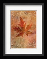 Picked Up Autumn Leaf II Framed Print