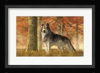 A Wolf In Autumn Fine Art Print