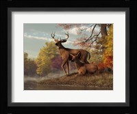 Deer On An Autumn Lakeshore Fine Art Print