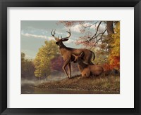 Deer On An Autumn Lakeshore Fine Art Print
