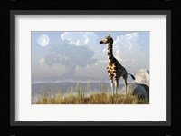 Giraffe And Giant Tree Fine Art Print