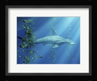 Hammer Head Among The Seaweed Fine Art Print