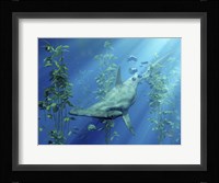 Hammerhead Art Framed Print