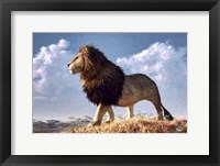 Impressionist Lion Fine Art Print