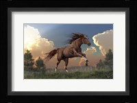 Running Free Fine Art Print