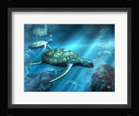 Sea Turtles Fine Art Print