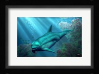 Smiling Dolphin Fine Art Print