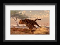 Speeding Cheetah Framed Print