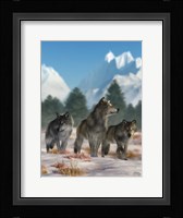 Three Wolves Fine Art Print