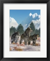 Three Wolves Fine Art Print