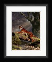 Tiger On A Log Fine Art Print