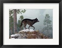 Winter Wolf Fine Art Print